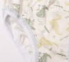 Трусы для мальчика Арт. 506 (динозавры, зеленый) - 1 Трусы для мальчика Арт. 506 (динозавры, зеленый) - 1